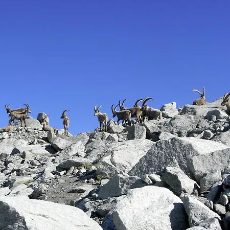 Appartement Roeck Xl Neukirchen am Großvenediger