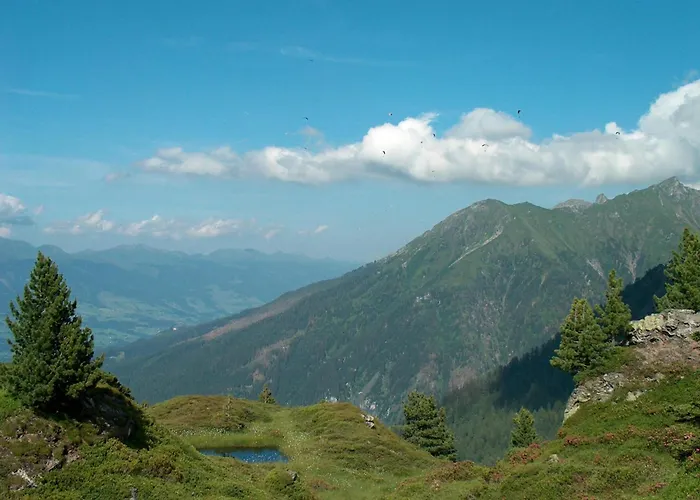 Roeck Xl Διαμέρισμα