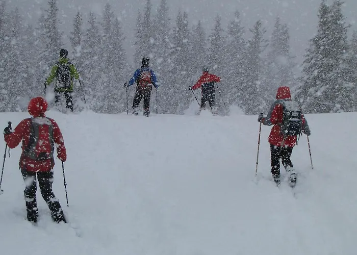 Roeck Xl Διαμέρισμα