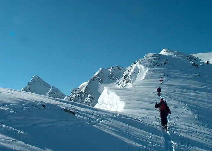 Roeck Xl Διαμέρισμα Neukirchen am Großvenediger